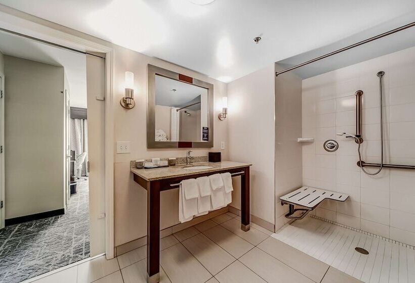 Люкс Адаптированный для Инвалидов, Embassy Suites Atlanta   Kennesaw Town Center