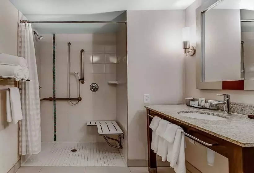 身障者適用スイートルーム, Embassy Suites Atlanta   Kennesaw Town Center