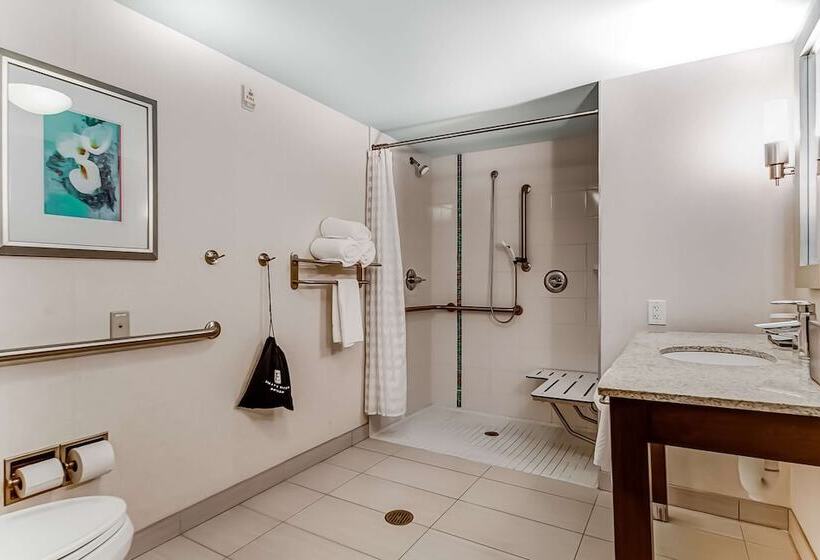 Люкс Адаптированный для Инвалидов, Embassy Suites Atlanta   Kennesaw Town Center