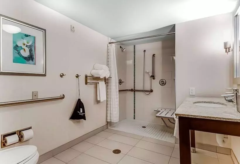 身障者適用スイートルーム, Embassy Suites Atlanta   Kennesaw Town Center