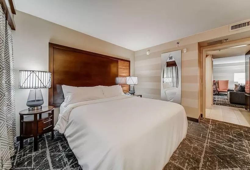 スイート, Embassy Suites Atlanta   Kennesaw Town Center