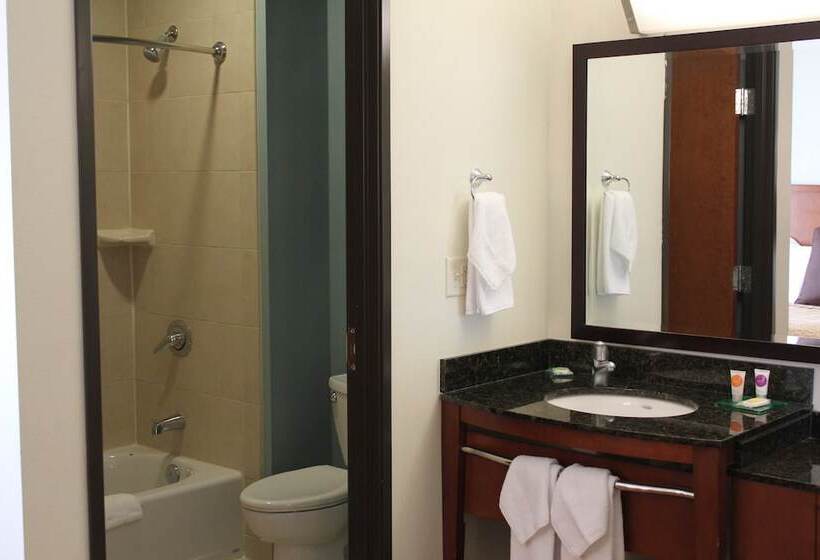 스탠다드 룸 더블 침대 2개, Hyatt Place Dallas/garland/richardson