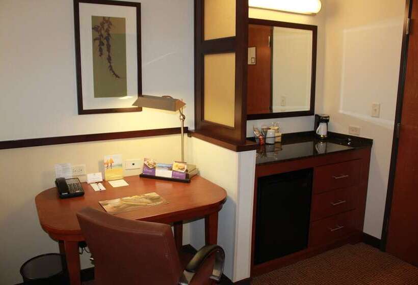 스탠다드 룸 더블 침대 2개, Hyatt Place Dallas/garland/richardson