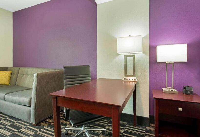 キングサイズベッドのデラックスルーム, La Quinta By Wyndham Bridge City Orange