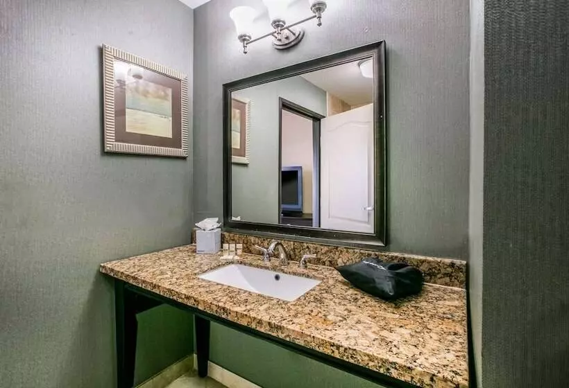 اتاق استاندارد با تخت دوبل برای معلولان, La Quinta Inn & Suites By Wyndham Dfw Airport West  Euless