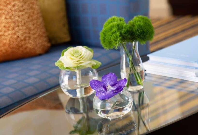 سوئیت پرزیدنت, Renaissance By Sulo