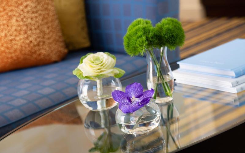 سوئیت پرزیدنت, Renaissance By Sulo