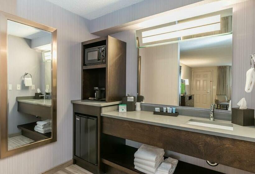 غرفة قياسية فردية, Rockport Inn And Suites