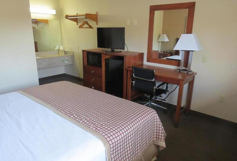 스탠다드 룸 킹사이즈 침대, Sunset Inn   Augusta