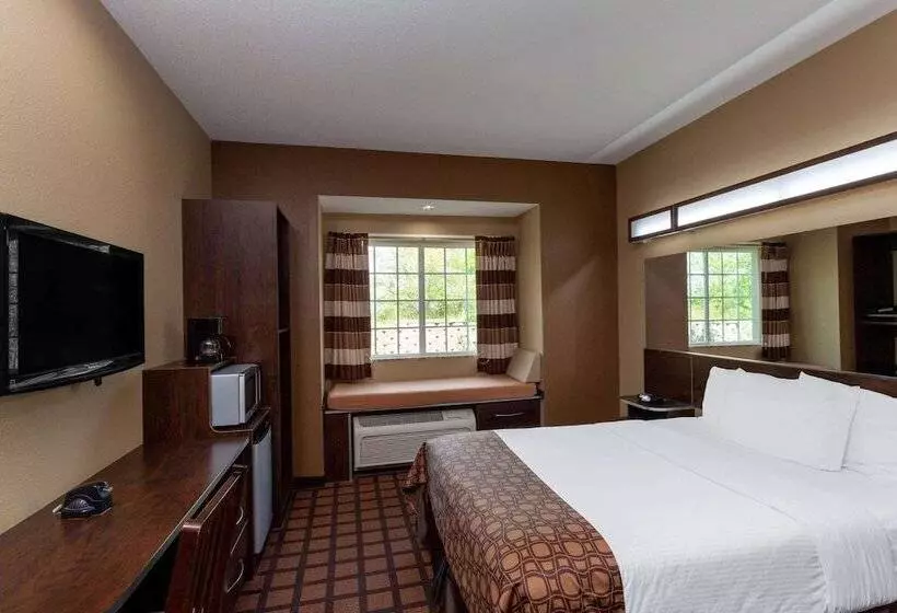 身障者適用スタンダードルーム, Microtel Inn & Suites By Wyndham Columbia