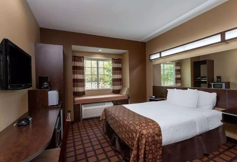 身障者適用スタンダードルーム, Microtel Inn & Suites By Wyndham Columbia