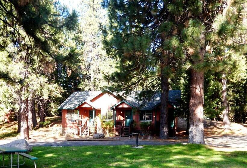 スタンダードルーム, Mount Shasta Resort