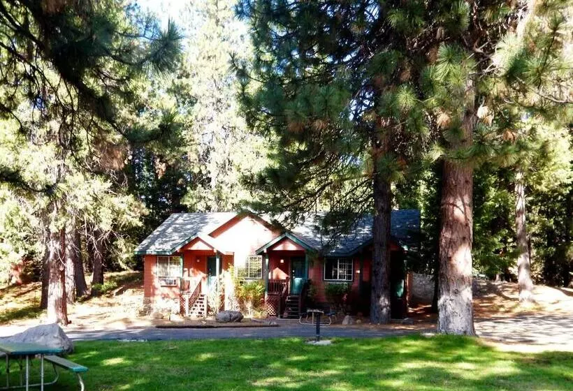 スタンダードルーム, Mount Shasta Resort