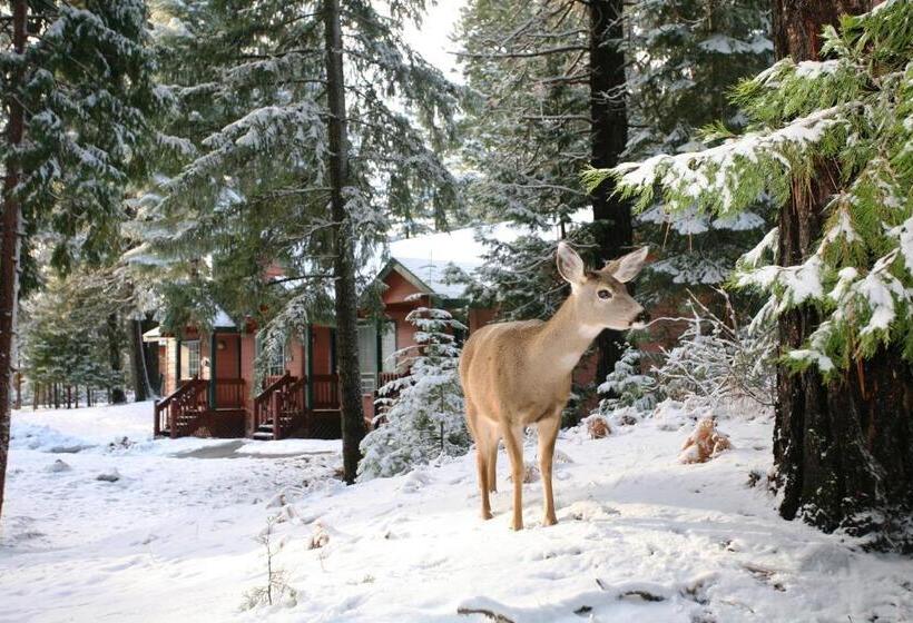 スタンダードルーム, Mount Shasta Resort
