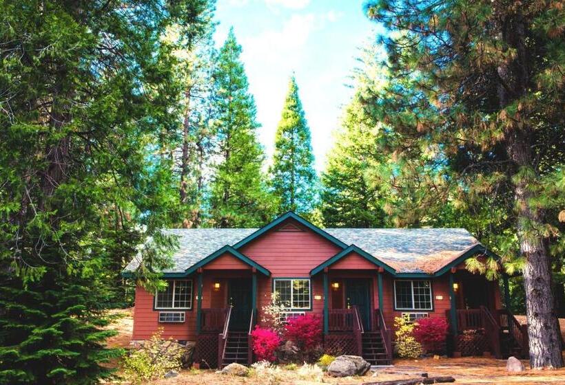 スタンダードルーム, Mount Shasta Resort