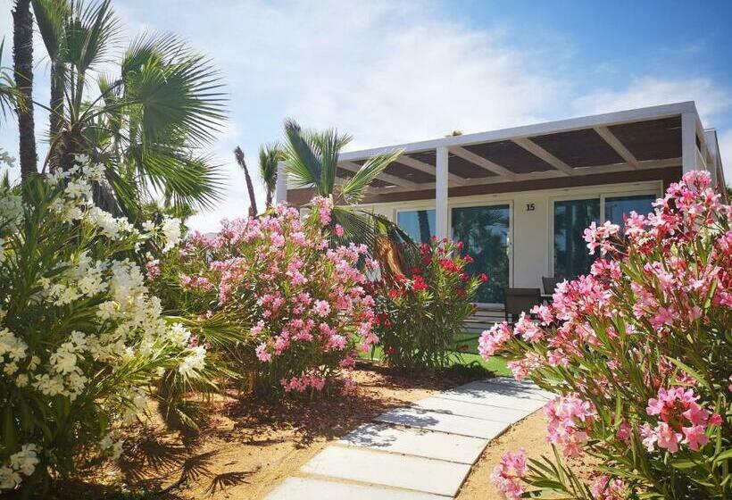 디럭스 방갈로, Alannia Costa Blanca