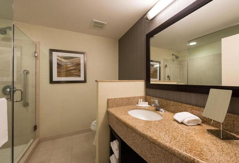 キングサイズベッドのスタンダードルーム, Courtyard Clemson