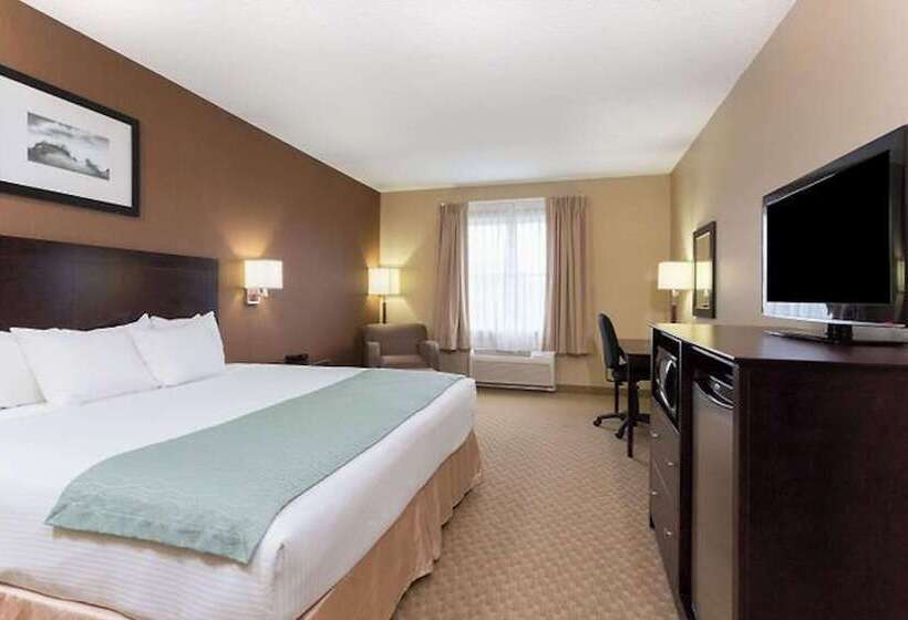 장애인을 위한 스위트, Palm Coast Hotel & Suites I 95