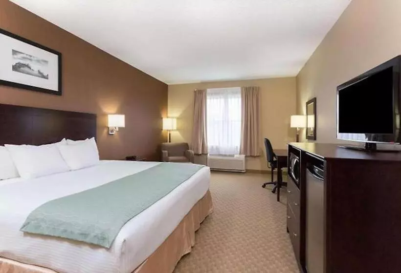 身障者適用クイーンサイズベッドルーム, Palm Coast Hotel & Suites I 95