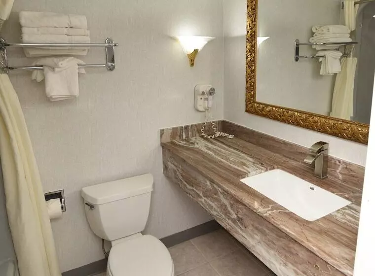 バスタブ付きデラックスルーム, Fairbridge Hotel Atlantic City
