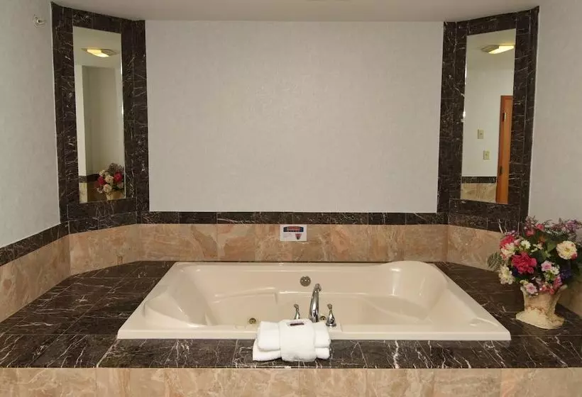 バスタブ付きデラックスルーム, Fairbridge Hotel Atlantic City