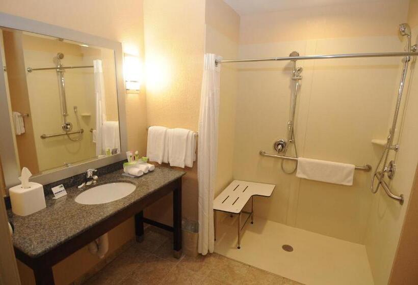 身障者適用キングサイズベッドルーム, Holiday Inn Express Somerset By Ihg