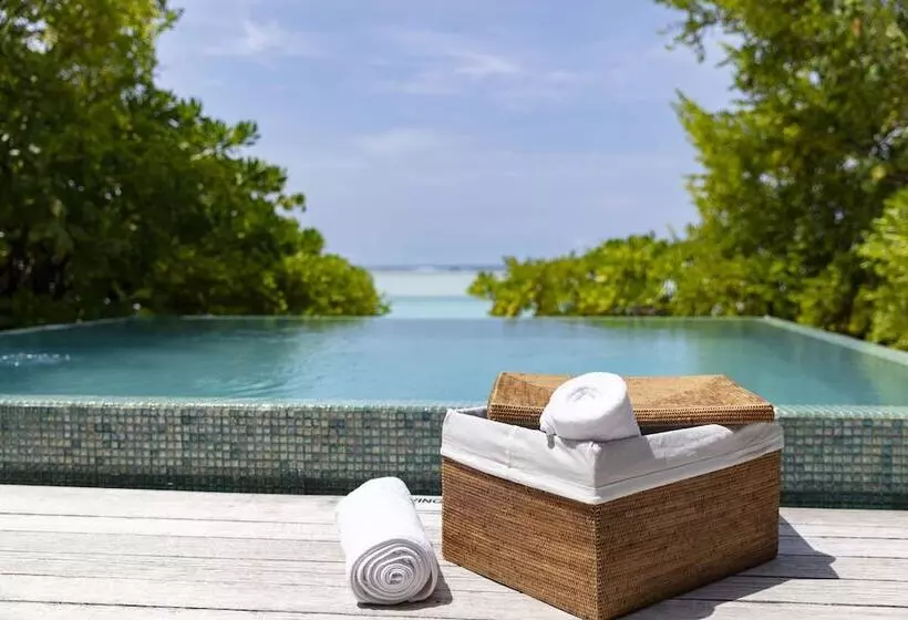 ویلای یک اتاق خوابه با استخر شنا, Niyama Private Islands Maldives