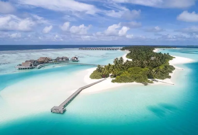 آپارتمان 1 خوابه, Niyama Private Islands Maldives