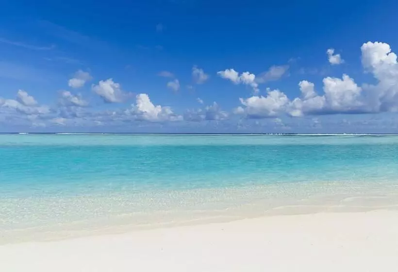 ویلای لوکس 1 خوابه, Niyama Private Islands Maldives