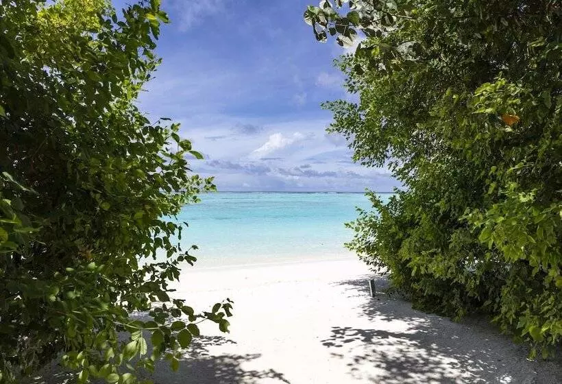 ویلای لوکس 1 خوابه, Niyama Private Islands Maldives