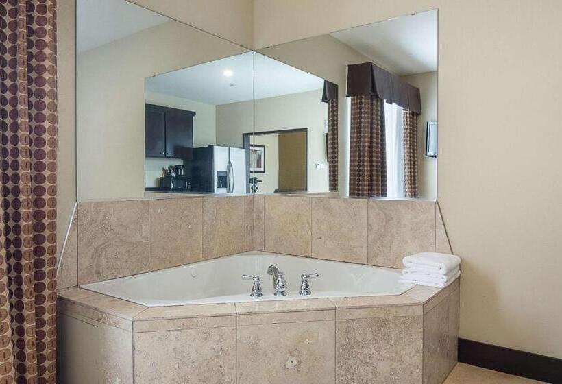 غرفة قياسية سرير كينج, Rodeway Inn & Suites