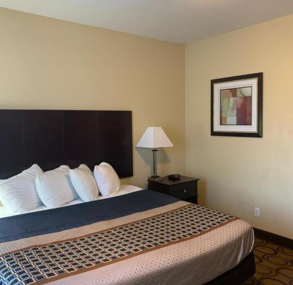غرفة قياسية سرير كينج, Rodeway Inn & Suites