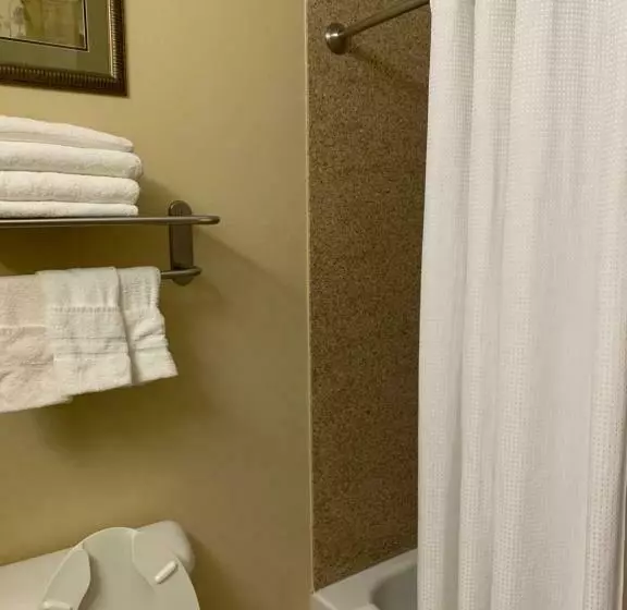 スタンダードルーム, Rodeway Inn & Suites