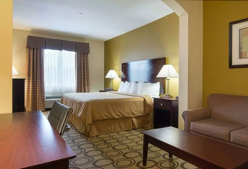キングサイズベッドのスタンダードルーム, Rodeway Inn & Suites