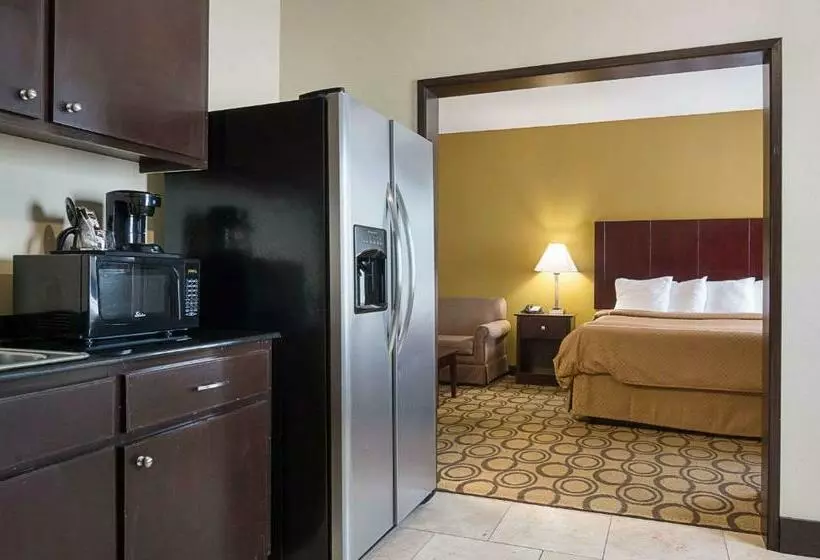 キングサイズベッドのスタンダードルーム, Rodeway Inn & Suites