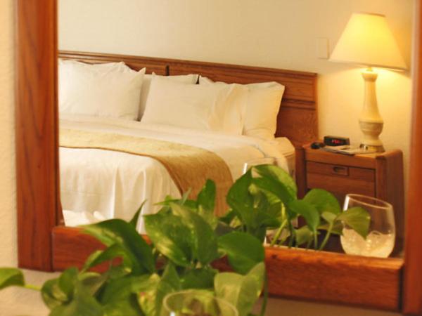 스탠다드 룸 킹사이즈 침대, Rosemont Suites