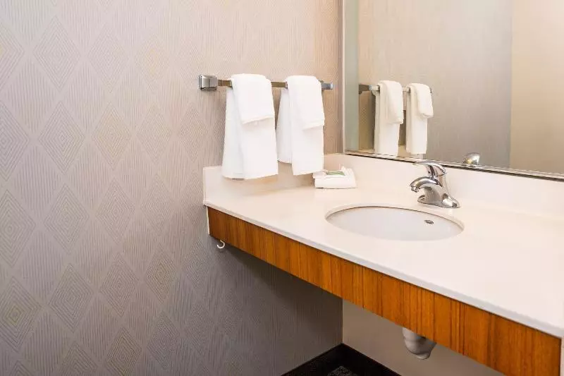 キングサイズベッドのスイートルーム, Springhill Suites By Marriott San Antonio Alamo Plaza/convention Center