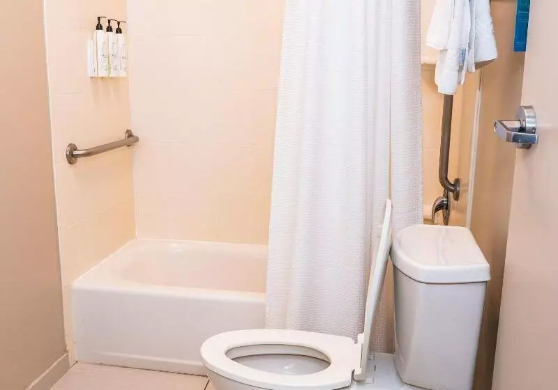 キングサイズベッドのスイートルーム, Springhill Suites By Marriott San Antonio Alamo Plaza/convention Center