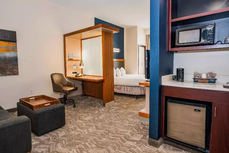 キングサイズベッドのスイートルーム, Springhill Suites By Marriott San Antonio Alamo Plaza/convention Center