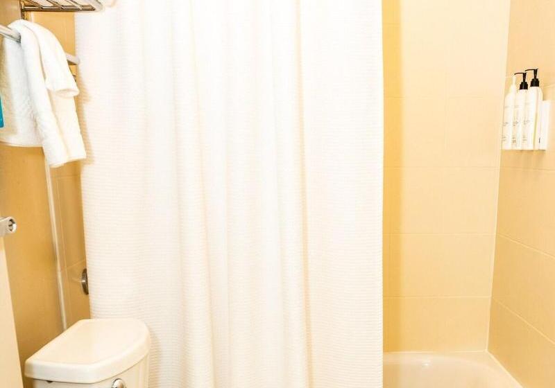 带大床的套房, Springhill Suites By Marriott San Antonio Alamo Plaza/convention Center