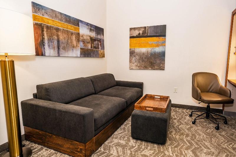 带大床的套房, Springhill Suites By Marriott San Antonio Alamo Plaza/convention Center