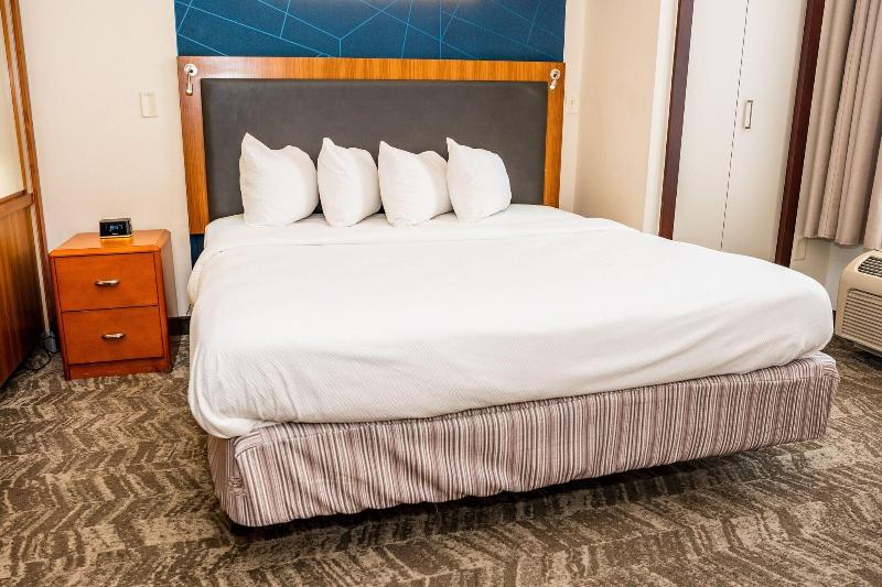 带大床的套房, Springhill Suites By Marriott San Antonio Alamo Plaza/convention Center