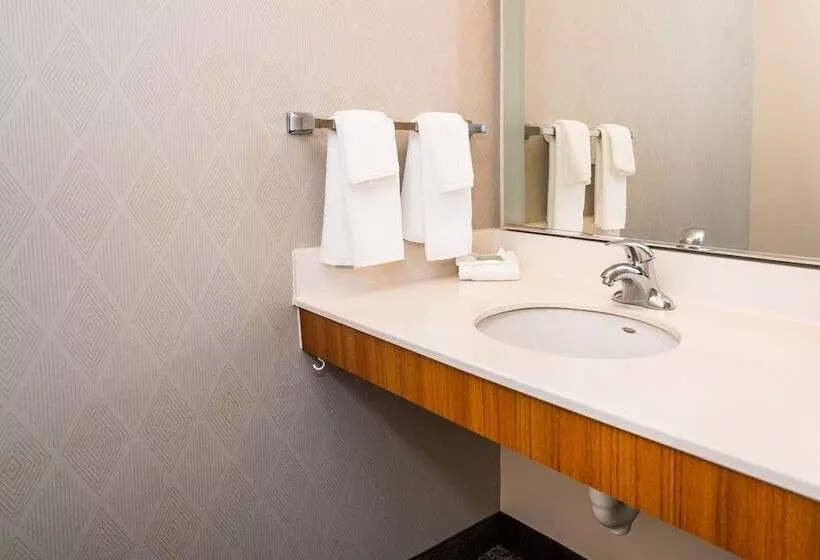 スイート, Springhill Suites By Marriott San Antonio Alamo Plaza/convention Center