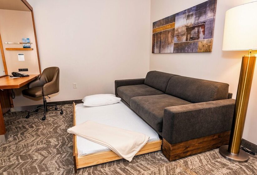 套房, Springhill Suites By Marriott San Antonio Alamo Plaza/convention Center