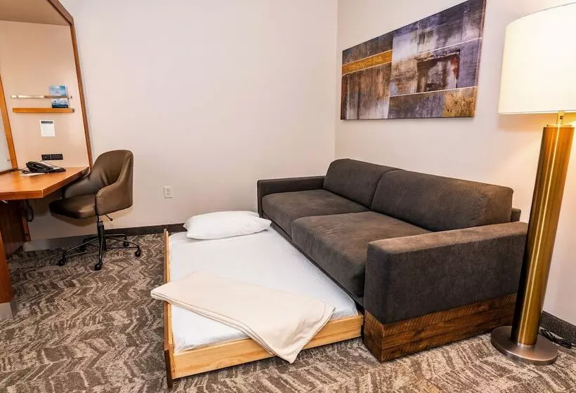 スイート, Springhill Suites By Marriott San Antonio Alamo Plaza/convention Center