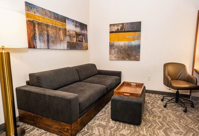 Люкс, Springhill Suites By Marriott San Antonio Alamo Plaza/convention Center