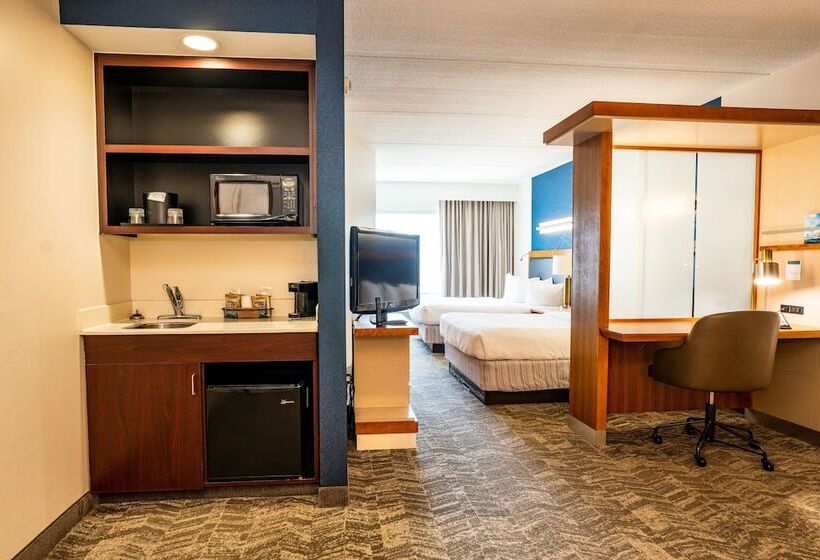 套房, Springhill Suites By Marriott San Antonio Alamo Plaza/convention Center