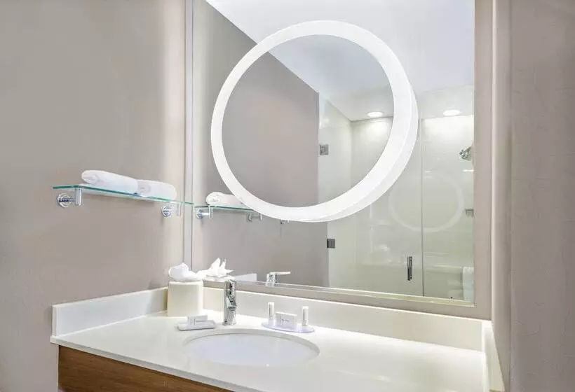 スタンダードルーム, Springhill Suites By Marriott San Antonio Seaworld®/lackland