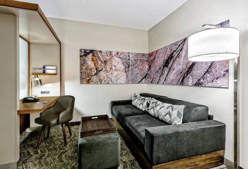 标准间, Springhill Suites By Marriott San Antonio Seaworld®/lackland