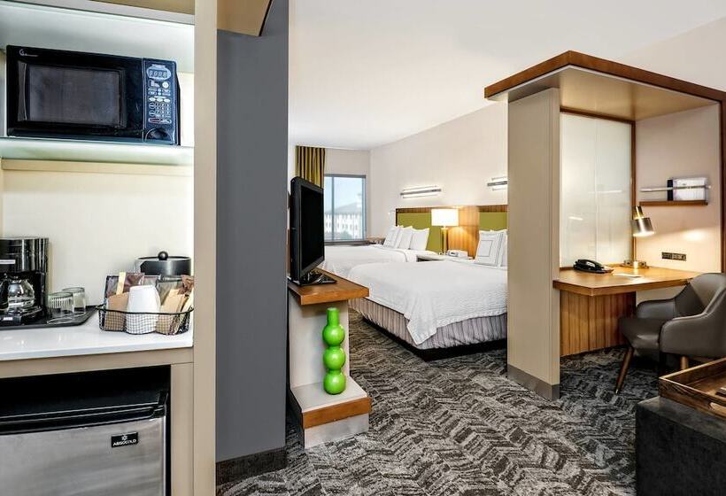 标准间, Springhill Suites By Marriott San Antonio Seaworld®/lackland